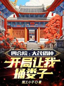 《四合院：大茂让我捅娄子》小说封面
