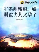 《军婚甜蜜蜜，娇弱霍夫人又孕了》小说封面