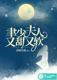 《聿少夫人又甜又软》小说封面
