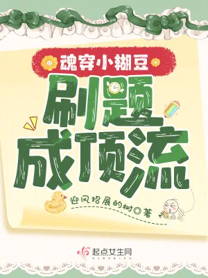《魂穿小糊豆，刷题成顶流》小说封面