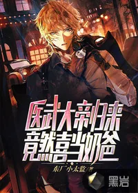 《医武大帝归来，竟然喜当奶爸？》小说封面