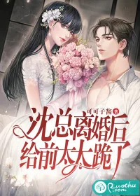《沈总离婚后给前太太跪了》小说封面
