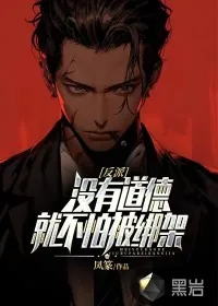 《反派:没有道德,就不怕被绑架》小说封面