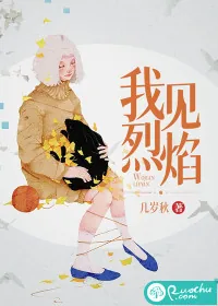 《我见烈焰》小说封面