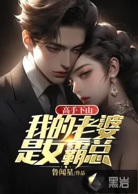 《高手下山：我的老婆是女霸总》小说封面