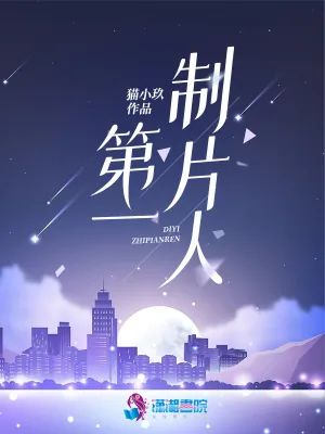 《第一制片人》小说封面