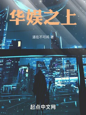 《华娱之上》小说封面