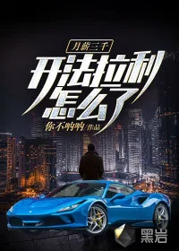 《月薪三千，开法拉利怎么了》小说封面