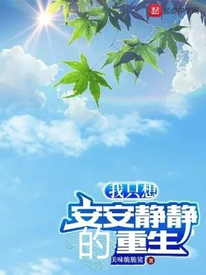 《我只想安安静静的重生》小说封面