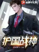《护国战神》小说封面