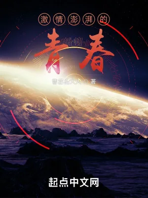 《激情澎湃的青春》小说封面