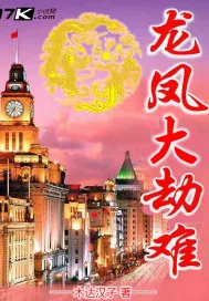 《龙凤大劫难》小说封面