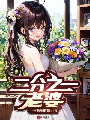 《二分之一老婆》小说封面