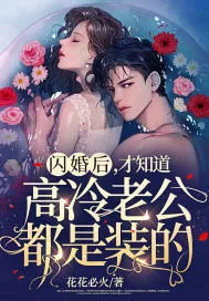 《闪婚后,才知道高冷老公都是装的》小说封面