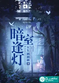《暗室逢灯》小说封面