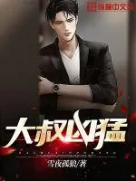 《大叔凶猛》小说封面