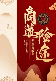 《商道险途》小说封面