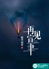 《再见宣聿》小说封面