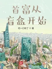 《首富从盲盒开始》小说封面