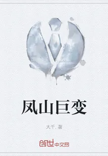 《凤山巨变》小说封面