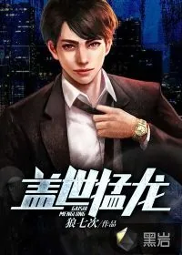 《盖世猛龙》小说封面