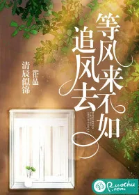 《等风来不如追风去》小说封面