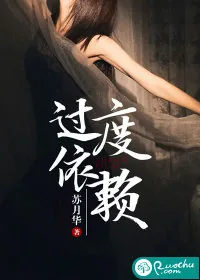 《过度依赖》小说封面