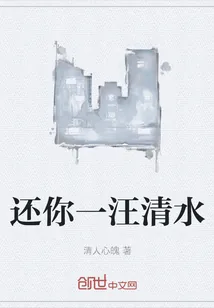 《还你一汪清水》小说封面