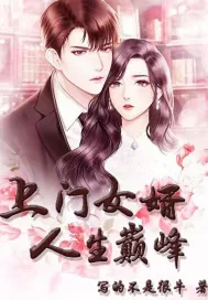 《上门女婿人生巅峰》小说封面