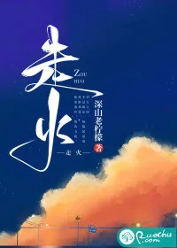 《走火》小说封面