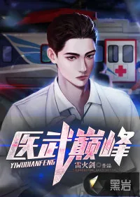 《医武巅峰》小说封面