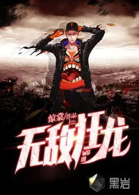 《无敌狂龙》小说封面