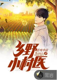 《乡野小村医》小说封面