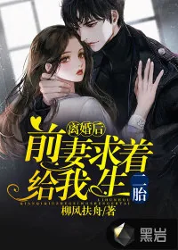 《离婚后，前妻求着给我生二胎》小说封面