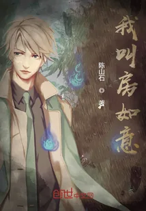 《我叫房如意》小说封面