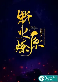 《野火燎原》小说封面