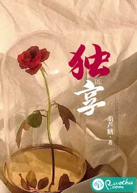 《独享》小说封面