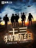 《十三特勤组》小说封面