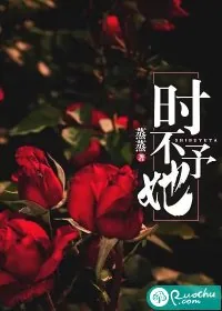 《时不予她》小说封面