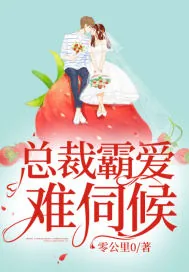 《总裁霸爱难伺候》小说封面