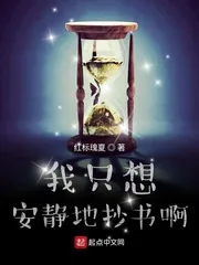 《我只想安静地抄书啊》小说封面