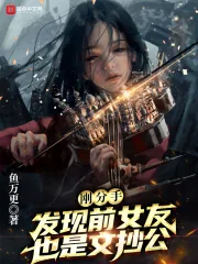《刚分手,发现前女友也是文抄公》小说封面