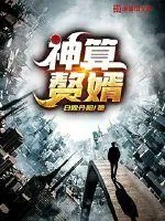 《神算赘婿》小说封面