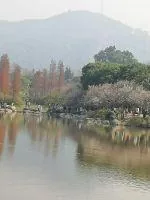 《我与你的爱》小说封面