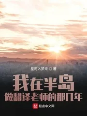 《我在半岛做翻译老师的那几年》小说封面