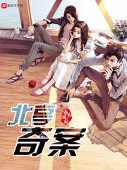 《北亭奇案》小说封面