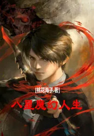《八星魔幻人生》小说封面