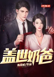 《盖世奶爸》小说封面