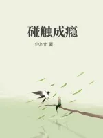 《碰触成瘾》小说封面