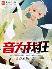 《音为我狂》小说封面